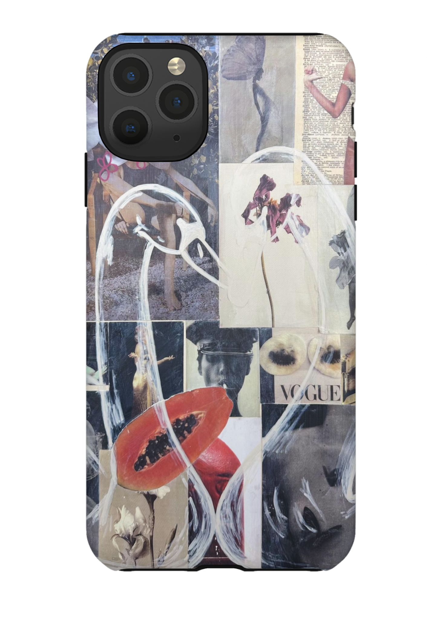 "Swan Love" case