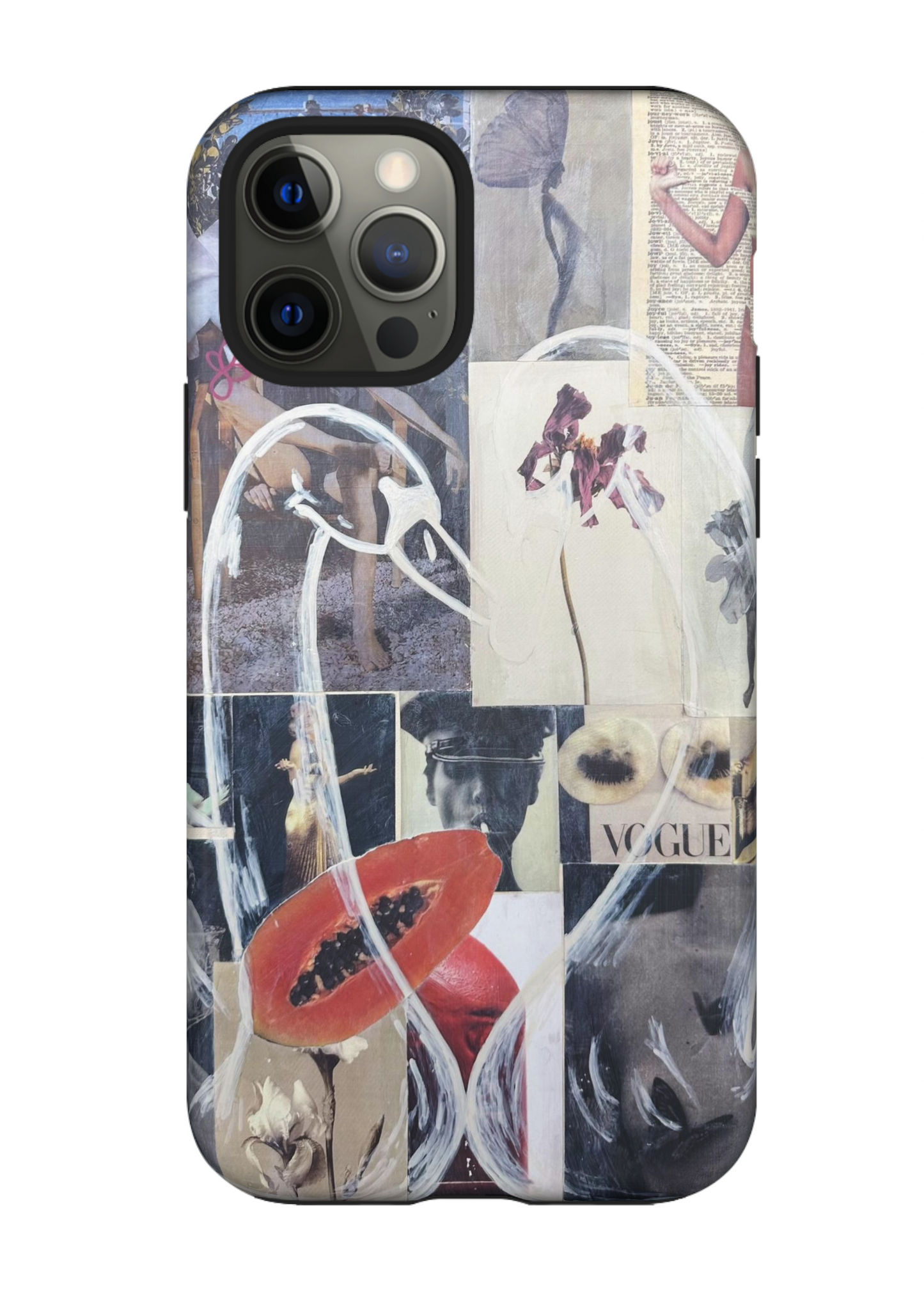 "Swan Love" case